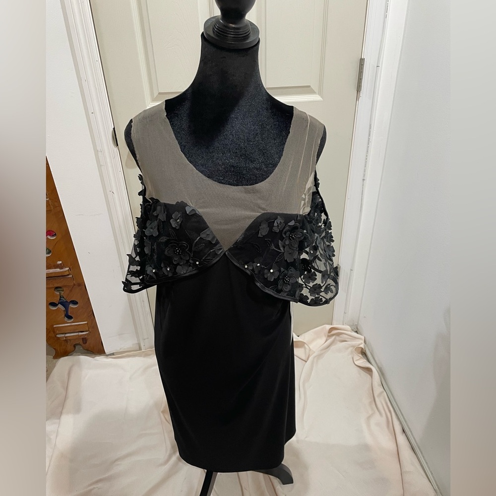 Elegant Black and Sheer Women's Dress